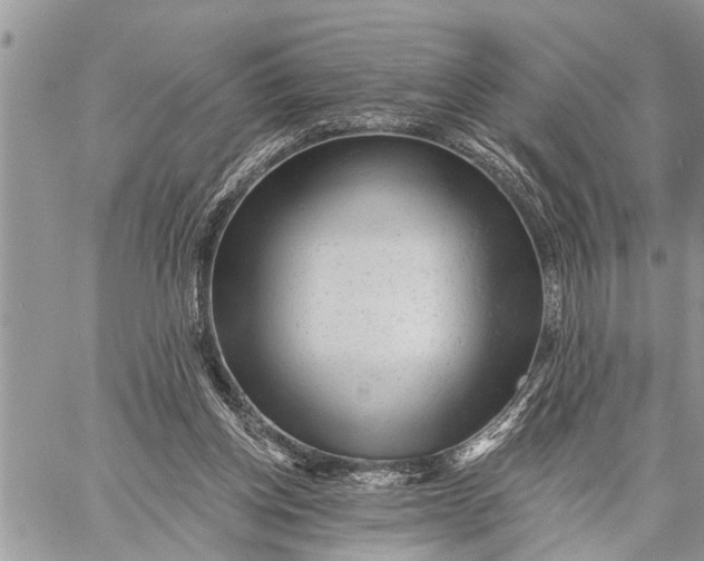 X0000059080158200510281732