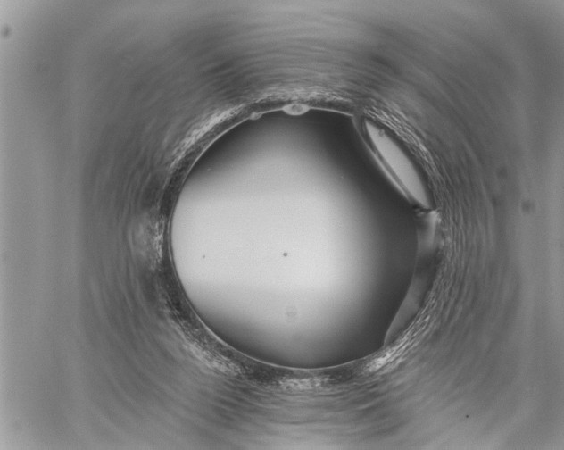 X0000059080160200510281732