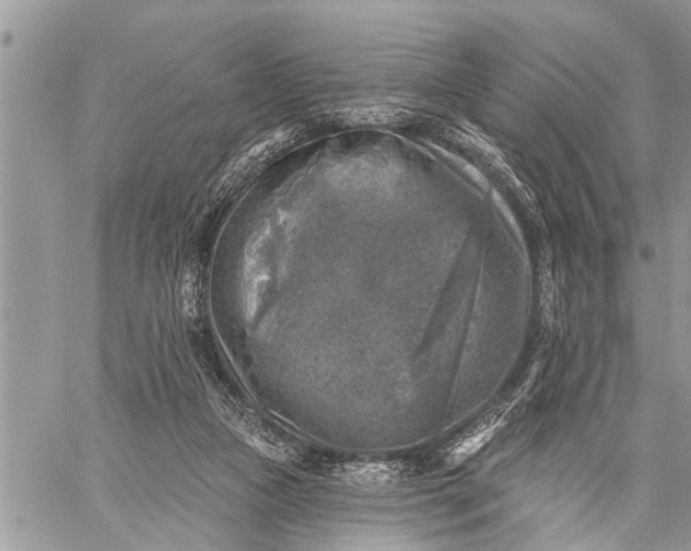 X0000059080161200510281732