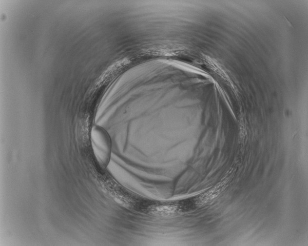 X0000059080163200510281732