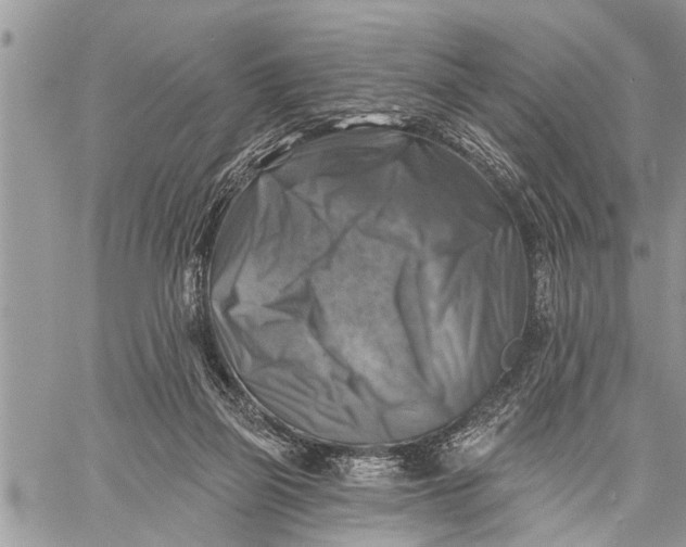 X0000059080165200510281732