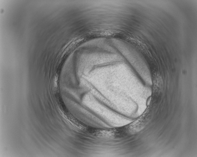 X0000059080166200510281732