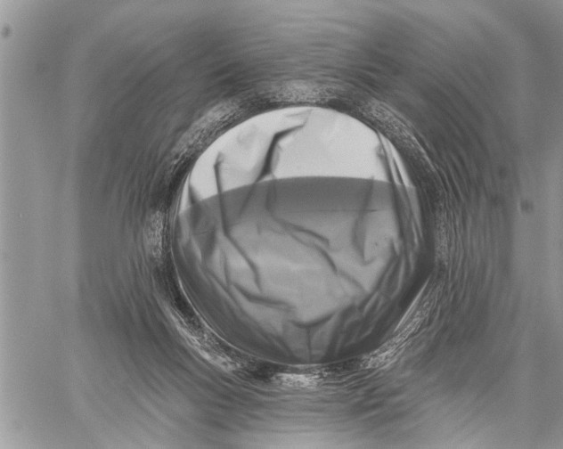 X0000059080167200510281732