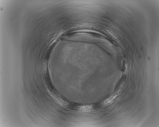 X0000059080168200510281732