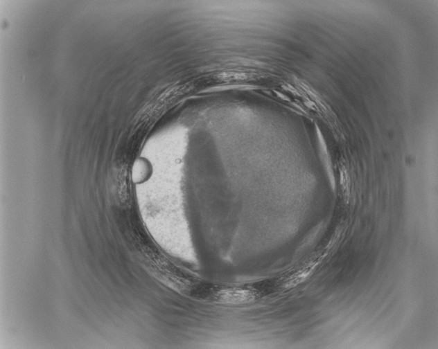 X0000059080169200510281733