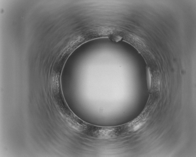 X0000059080172200510281733