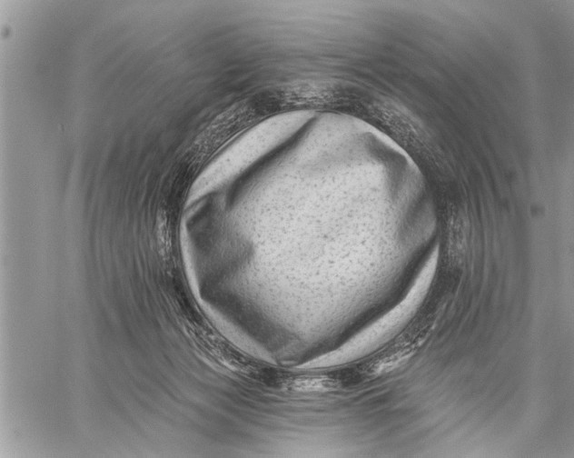 X0000059080173200510281733