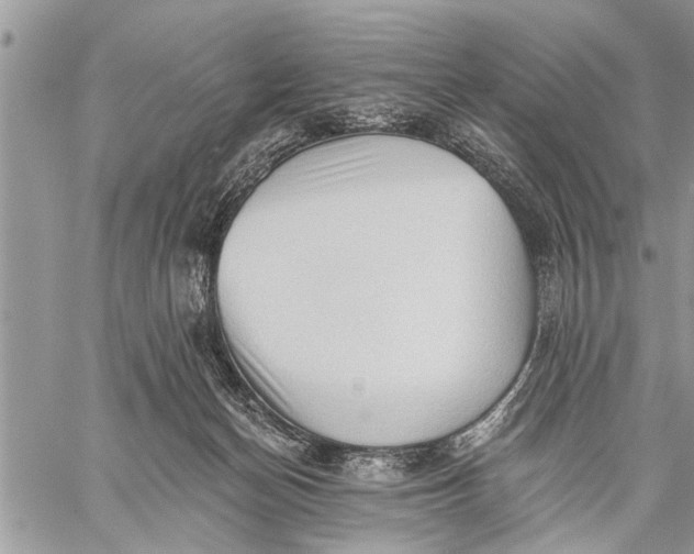 X0000059080174200510281733