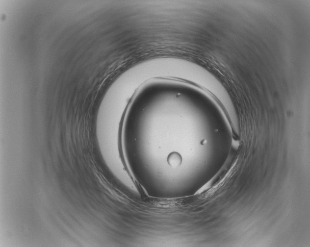 X0000059080175200510281733