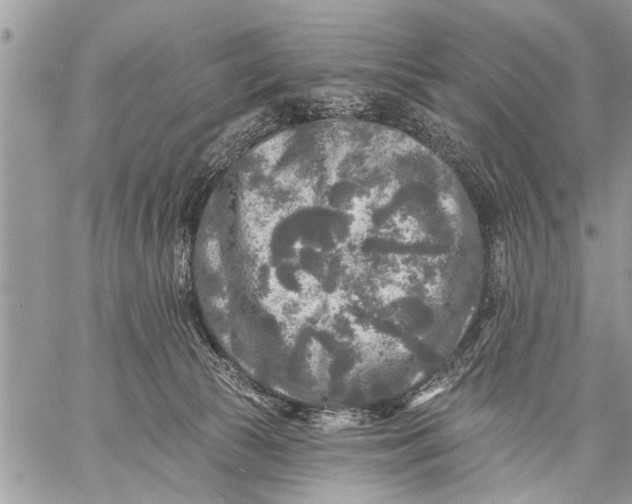 X0000059080177200510281733