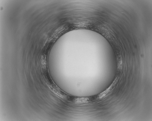 X0000059080179200510281733