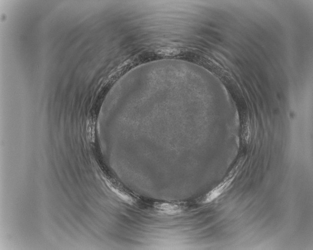 X0000059080180200510281733