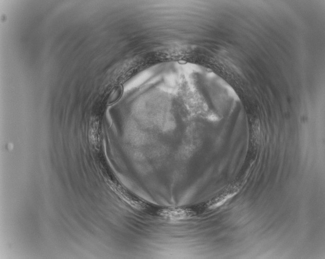 X0000059080181200510281733