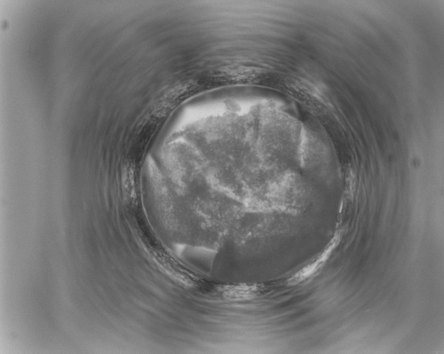 X0000059080182200510281733