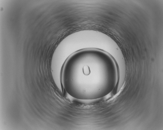 X0000059080186200510281733