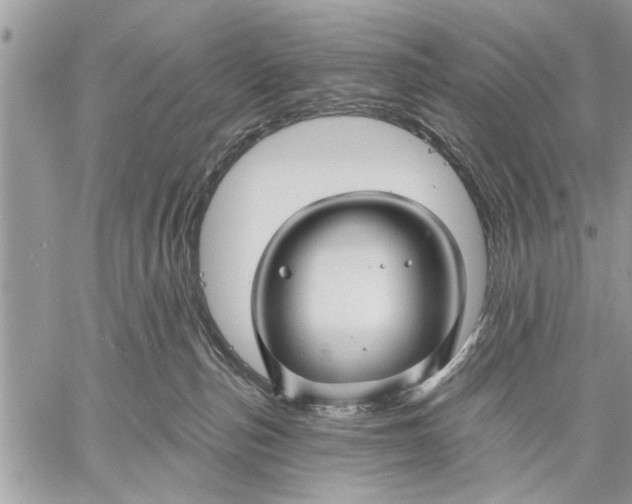 X0000059080187200510281733