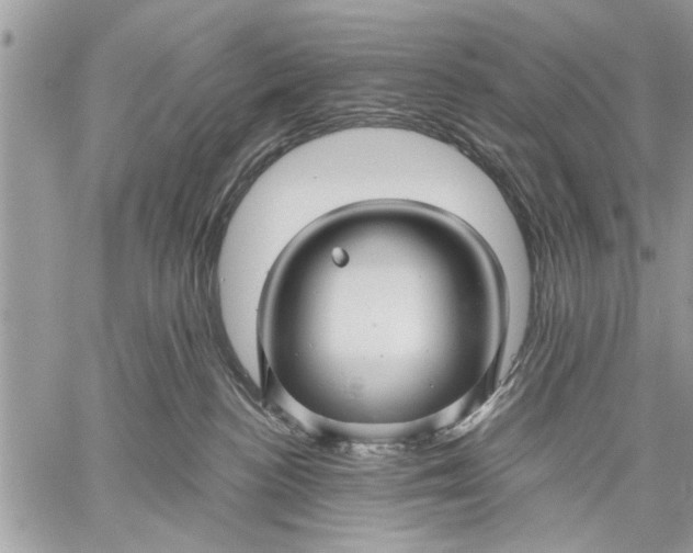 X0000059080188200510281733