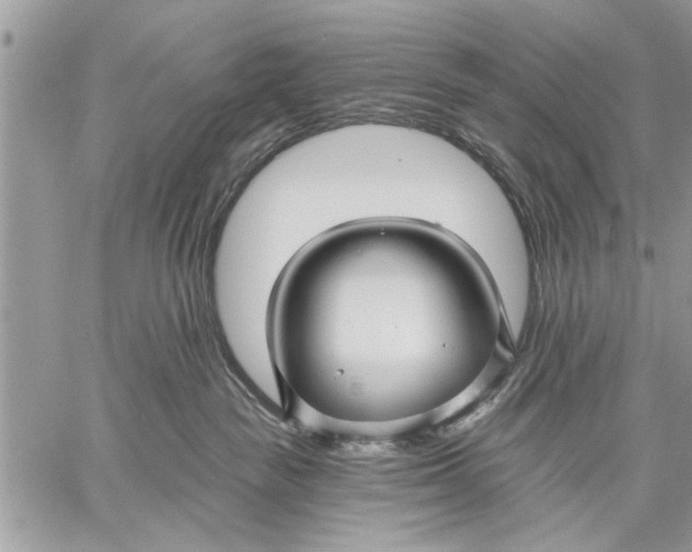 X0000059080189200510281733