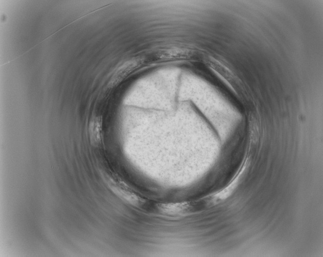 X0000059080191200510281733