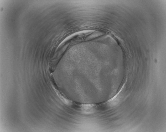 X0000059080192200510281733