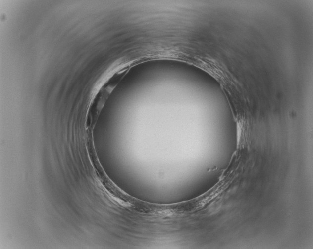 X0000059080195200510281732