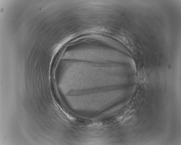 X0000059080196200510281732