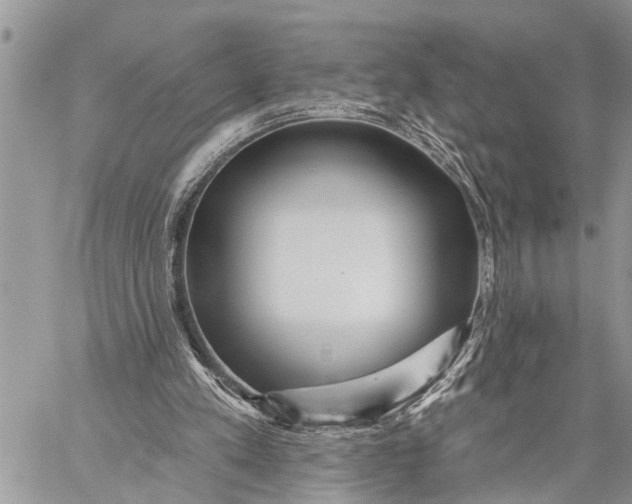 X0000059080197200510281732