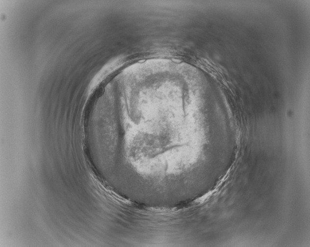 X0000059080198200510281732