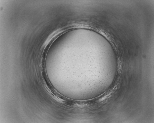 X0000059080199200510281732