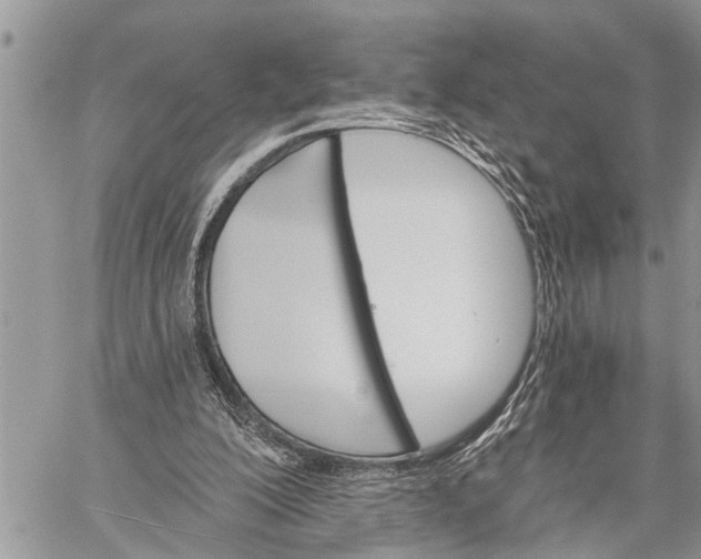 X0000059080200200510281732