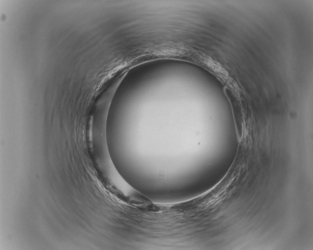 X0000059080201200510281732