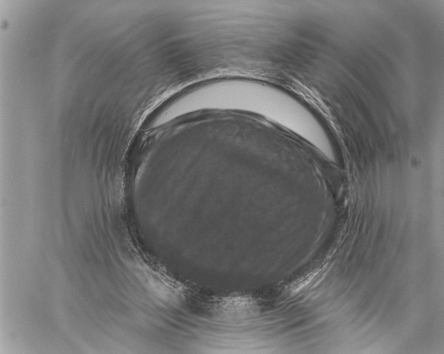 X0000059080204200510281732