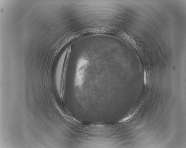 X0000059080205200510281732