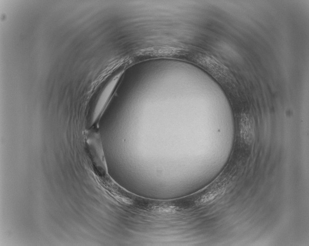 X0000059080206200510281732