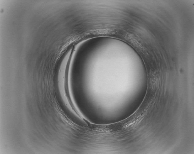 X0000059080207200510281732