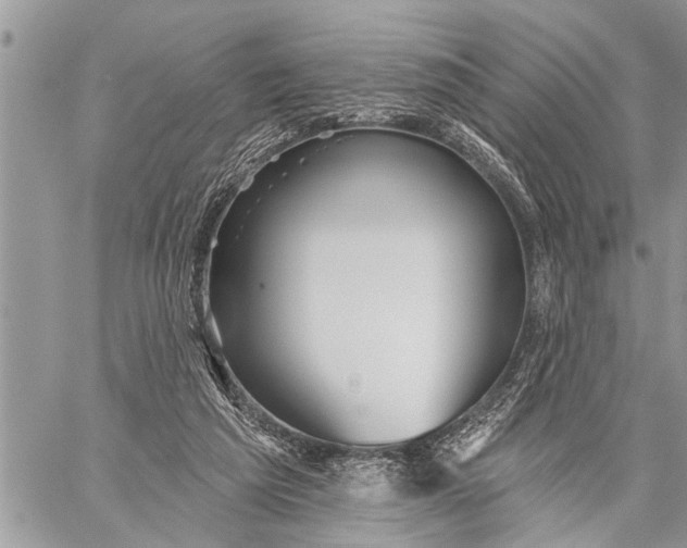 X0000059080209200510281732