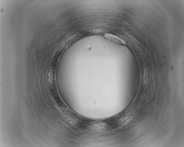 X0000059080210200510281732