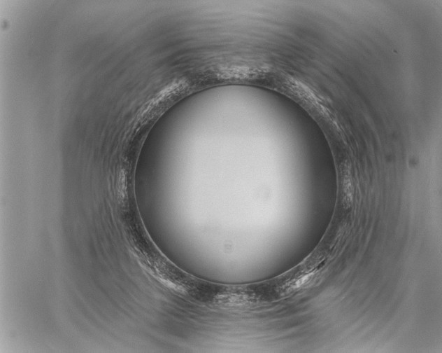 X0000059080211200510281732