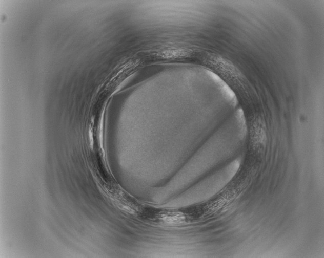 X0000059080214200510281732