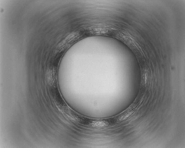 X0000059080218200510281732