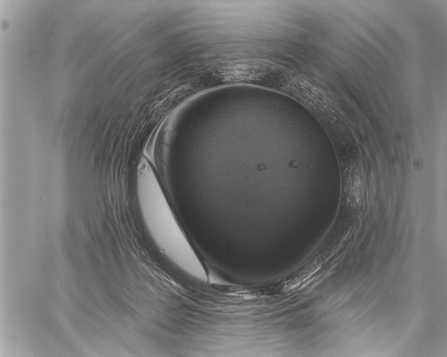 X0000059080219200510281732