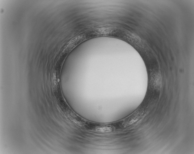 X0000059080220200510281732