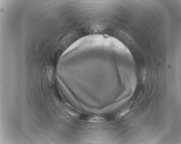 X0000059080222200510281732