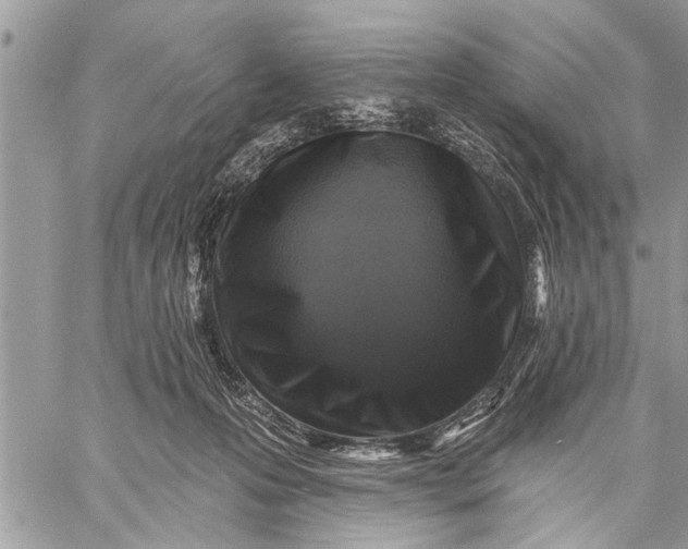 X0000059080223200510281732