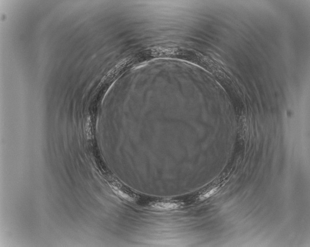 X0000059080224200510281732