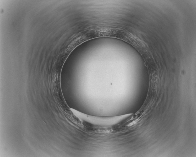 X0000059080225200510281732