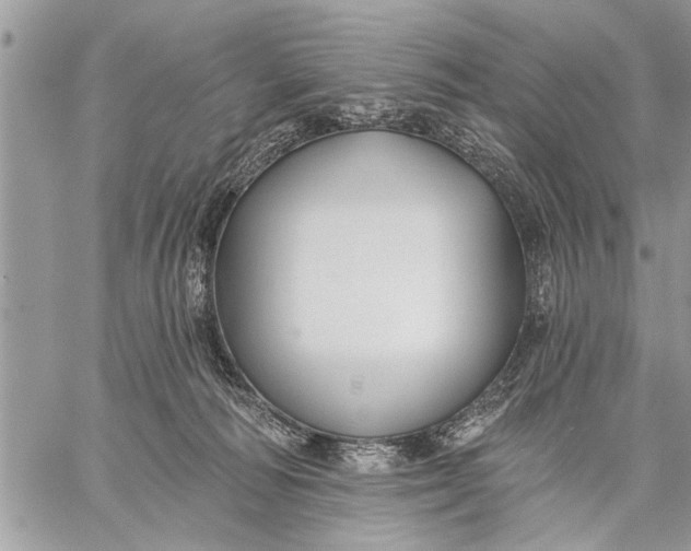 X0000059080226200510281732