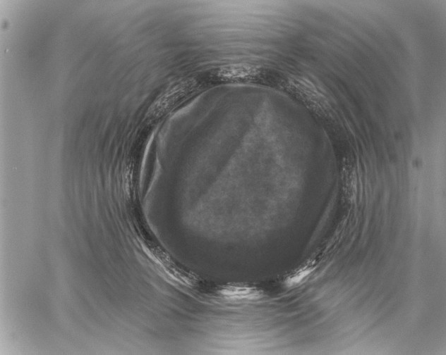 X0000059080227200510281732