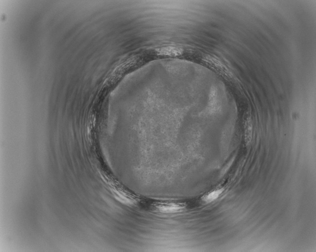 X0000059080229200510281732