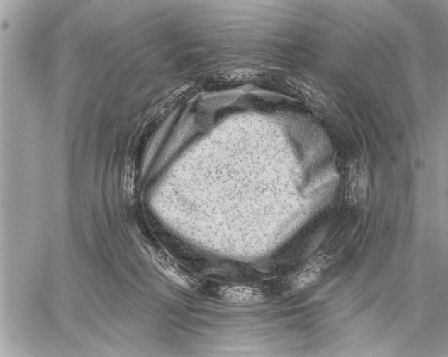 X0000059080230200510281731